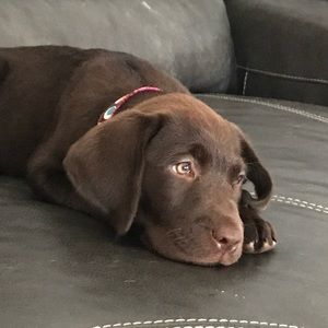 Meet your Posher, Sue